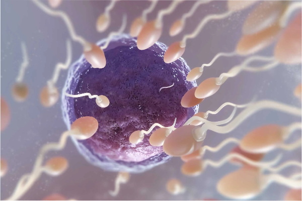 Male infertility